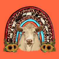 Charolais  Rainbow Premium Hoodie | Teevron