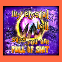 My Crystal Ball Says You Are Full Of Shit Tumbler Premium Hoodie | Teevron