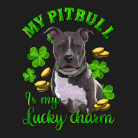 St Patricks Day My Pitbuli My Lucky Charm Heavyweight Hoodie | Teevron