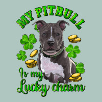 St Patricks Day My Pitbuli My Lucky Charm Premium Sweatshirt | Teevron