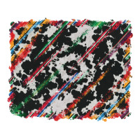 cowhide and serape background | Teevron