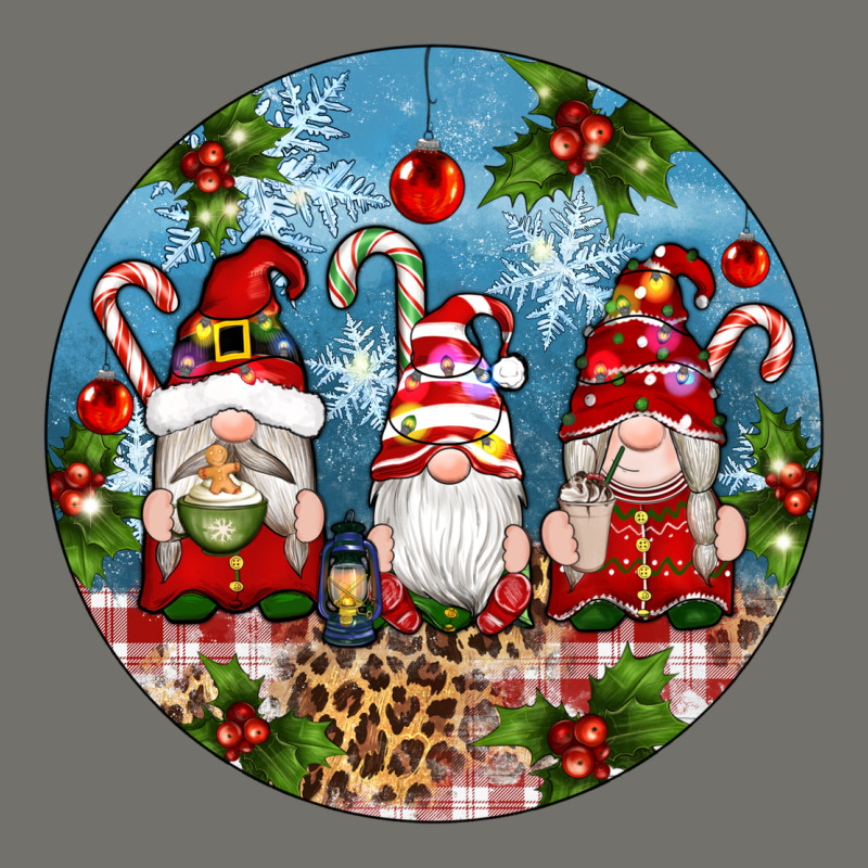 Christmas Gnomes Ornament Premium Hoodie by Artiststas | Teevron