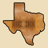 Texas Map Western Horsehide Pattern Premium Hoodie | Teevron
