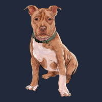Brown Pitbull Premium Sweatshirt | Teevron