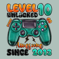 Level 10 Unlocked Awesome Since 2013 Heavyweight Hoodie | Teevron