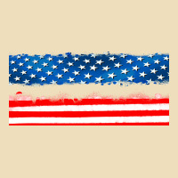 Usa Ice Cream And Popsicles Premium Hoodie | Teevron
