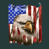 Usa Flag With Eagle Head Premium Sweatshirt | Teevron