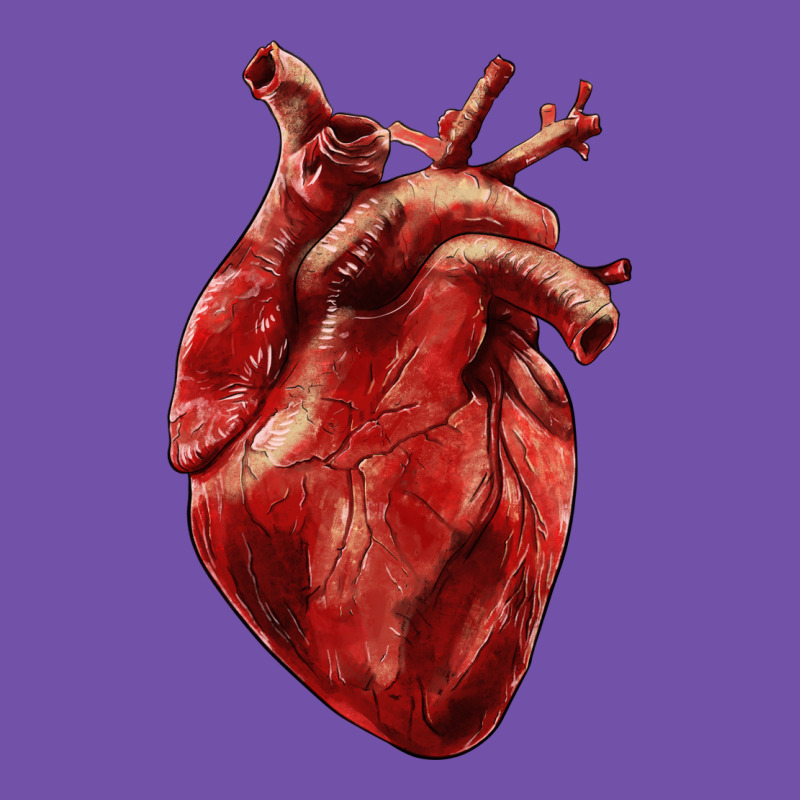 Anatomical Heart Premium Sweatshirt by RanaPortraitStore | Teevron