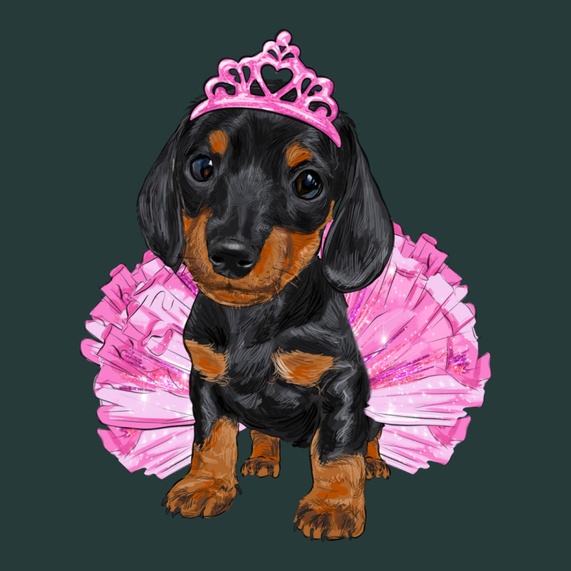 Balerina Dachshund With Tutu Premium Sweatshirt by RanaPortraitStore | Teevron
