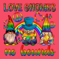 Pride Gnomies Premium Sweatshirt | Teevron