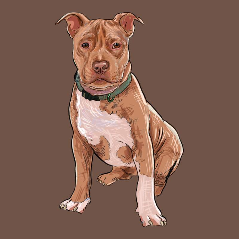 Brown Pitbull Premium Sweatshirt by RanaPortraitStore | Teevron