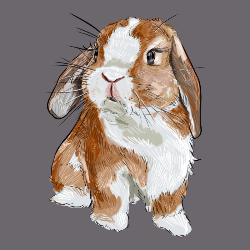 Cute Bunny Premium Sweatshirt by RanaPortraitStore | Teevron