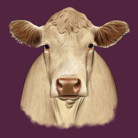 Charolais Urban Hoodie | Teevron