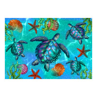 Turtle Seashells Starfish | Teevron