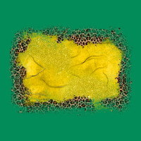 Gemstone Yellow Leopard Background Urban Hoodie | Teevron