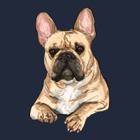 French Bulldog Sitting Premium Sweatshirt | Teevron