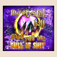 My Crystal Ball Says You Are Full Of Shit Tumbler Urban Hoodie | Teevron