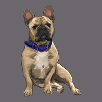 French Bulldog With Royal Blue Premium Sweatshirt | Teevron