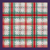 Christmas Plaid Seamless Pattern Premium Hoodie | Teevron