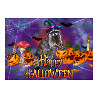 Happy Halloween Raccoon | Teevron