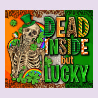 Irish Flag With Shamrocks  Dead Inside But Lucky Premium Hoodie | Teevron