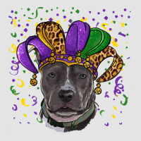 Mardi Gras Pitbull With Hat Premium Sweatshirt | Teevron