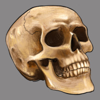 Skull Vintage Tee | Teevron