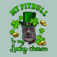 St. Patrick's Day My Pitbull Is My Lucky Charm With Hat Premium Sweatshirt | Teevron