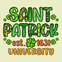 Saint Patrick University Urban Hoodie | Teevron