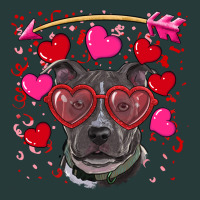 Valentine's Day  Pitbull Premium Sweatshirt | Teevron