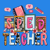 Sped Teacher Premium Hoodie | Teevron