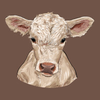 Charolais Calf Premium Sweatshirt | Teevron
