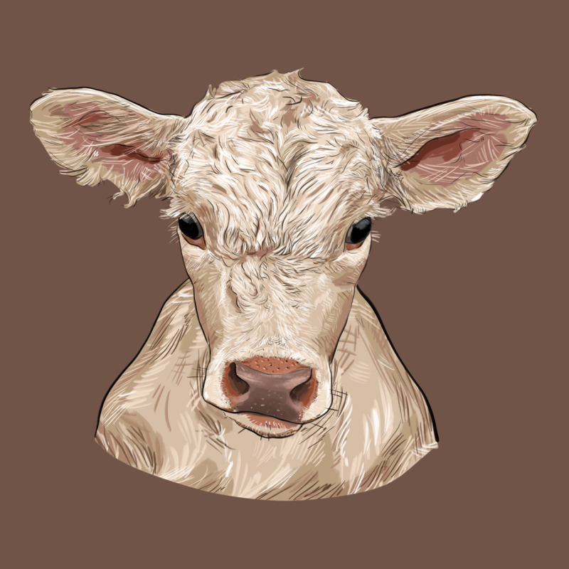 Charolais Calf Premium Sweatshirt by RanaPortraitStore | Teevron