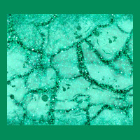 Green Glitter Urban Hoodie | Teevron