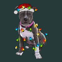 Pitbull With Christmas Lights Premium Sweatshirt | Teevron