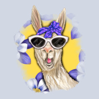Llama With Sunglasses Premium Sweatshirt | Teevron