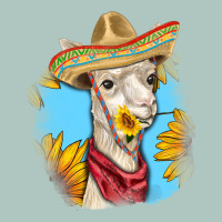 Sombrero Llama Premium Sweatshirt | Teevron