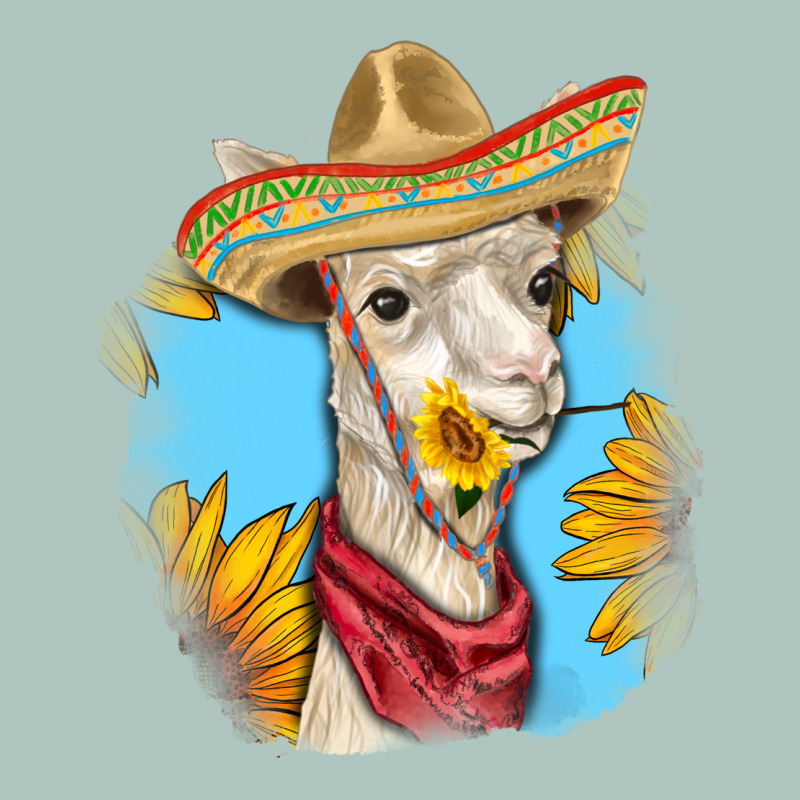Sombrero Llama Premium Sweatshirt by RanaPortraitStore | Teevron