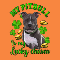 St Patricks Day My Pitbuli My Lucky Charm Premium Sweatshirt | Teevron