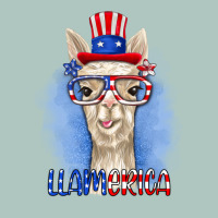 Llamerica Premium Sweatshirt | Teevron