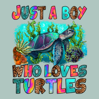 Just A Boy Who Loves Turtles Premium Sweatshirt | Teevron