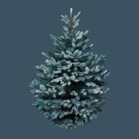 Colorado Blue Spruce Urban Heavy Tee | Teevron
