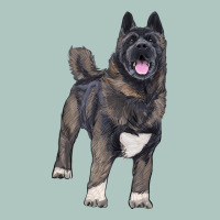 American Akita Premium Sweatshirt | Teevron