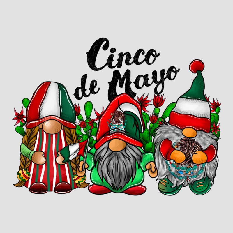 Cinco De Mayo Mexican Flag Gnomes Premium Hoodie by RacoonDesign | Teevron