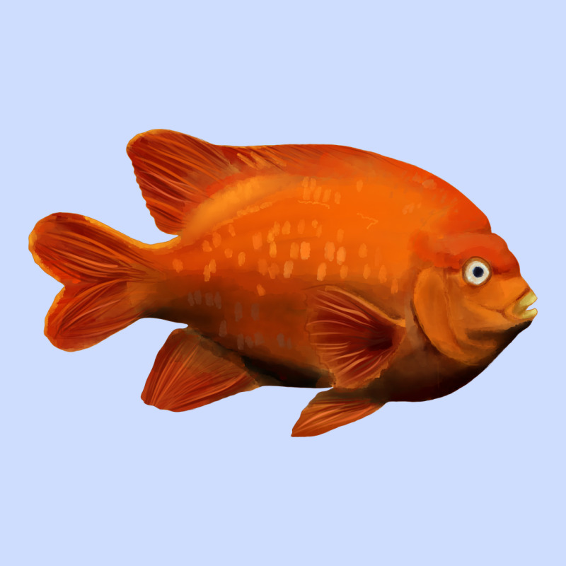 California Garibaldi Fish Urban Heavy Tee by RanaPortraitStore | Teevron