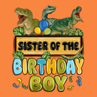 Sister Of The Birthday Boy Premium Sweatshirt | Teevron