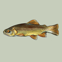 Arizona Apache Trout Fish Long Sleeve Tee | Teevron
