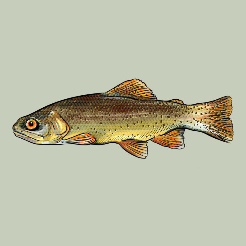 Arizona Apache Trout Fish Long Sleeve Tee by BarkalooDesign | Teevron