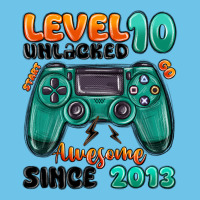 Level 10 Unlocked Awesome Since 2013 Premium Sweatshirt | Teevron