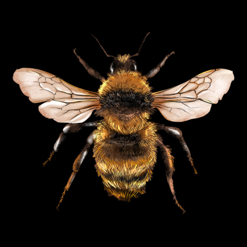 Bee Ladies Tee by Artiststas | Teevron